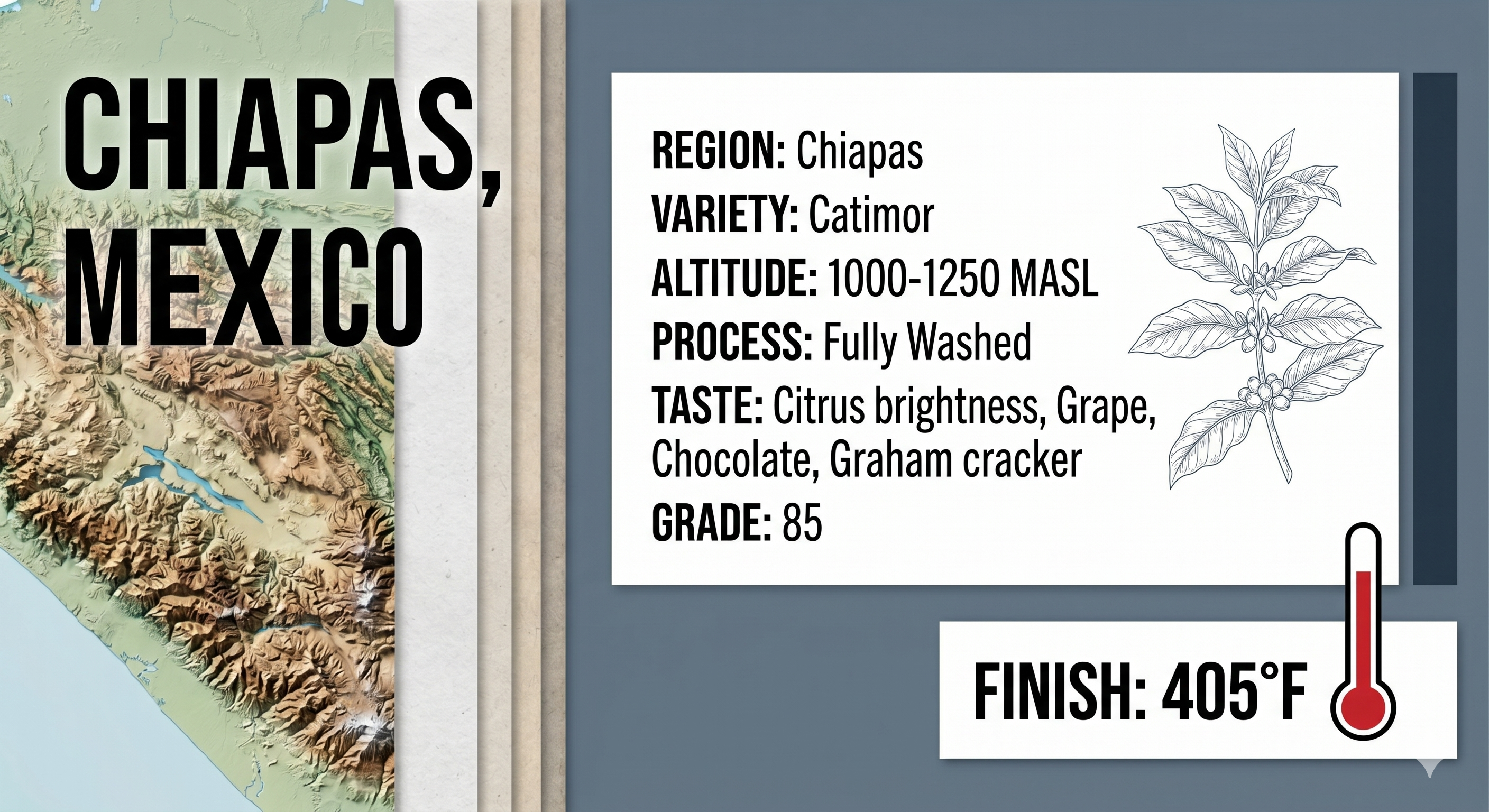 This month's Nerd Roast: Mexico Chiapas