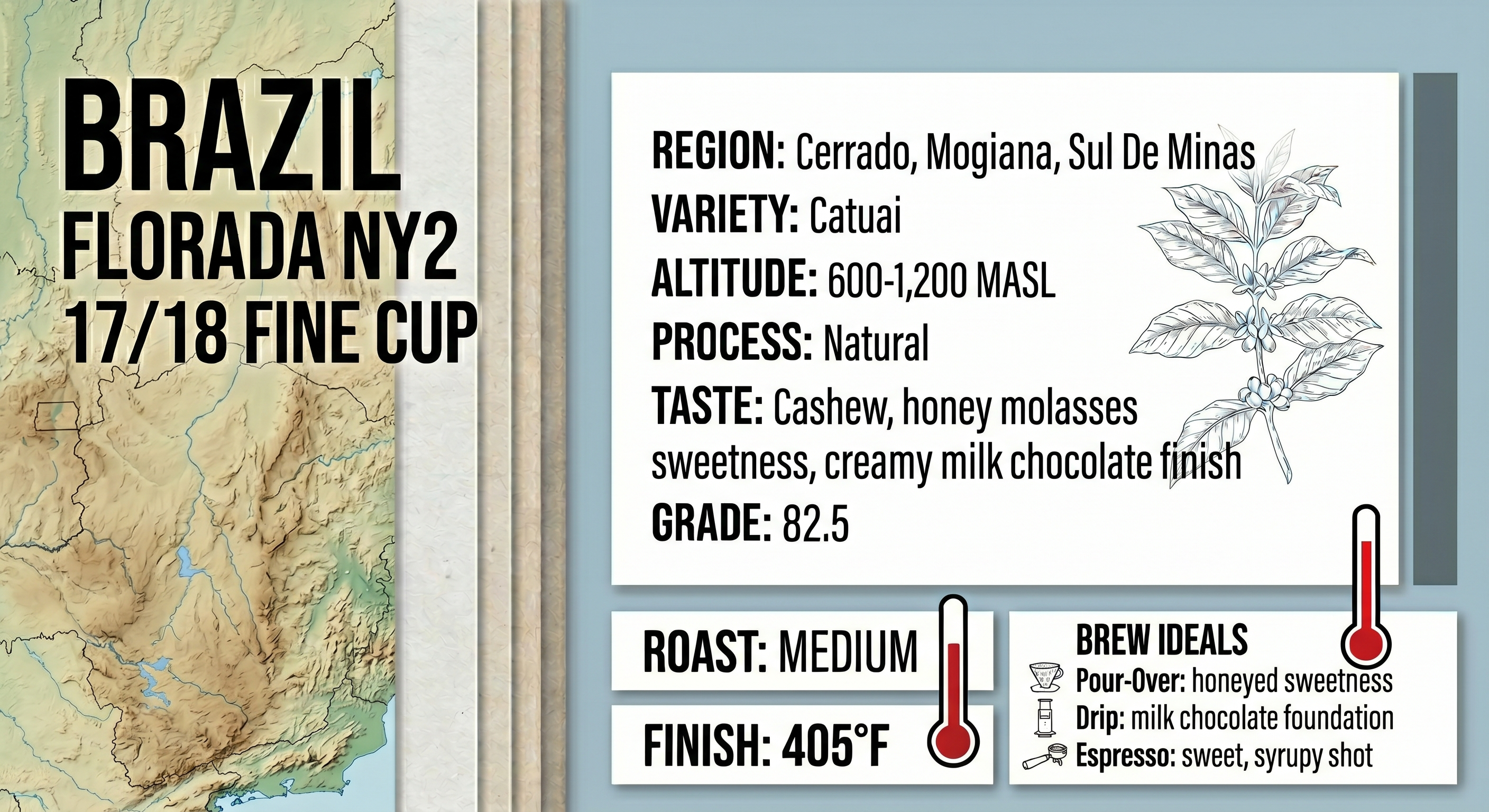 This month's NerdRoast: Brazil Florada